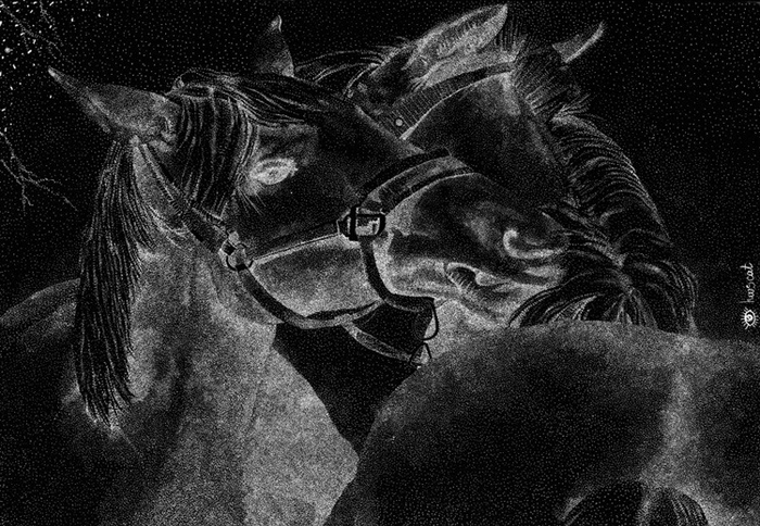 лошадиная любовь