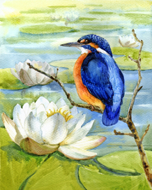 Зимородок и водяная лилия