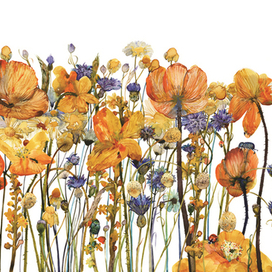 обложка к книге стихов Р.Барадулина "Сябрына"