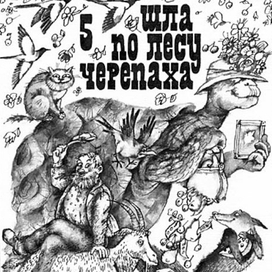 Черепаха & Co