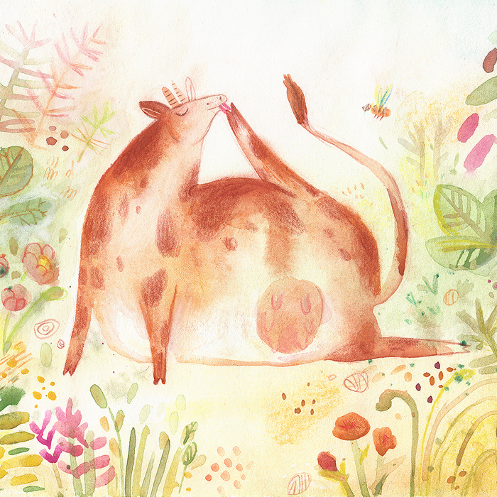 Буренка Мурка