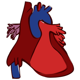 Абстрактное человеческое сердце