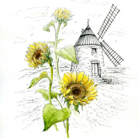 Подсолнухи.Мельница.Франция.