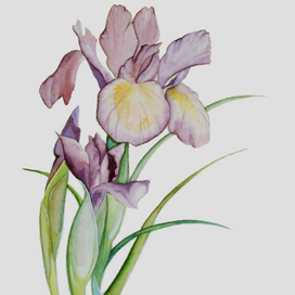 открытка №2