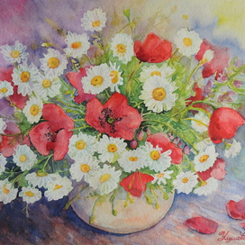 Ромашки и маки