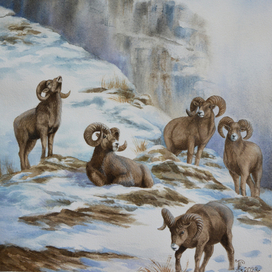 Под облаками 