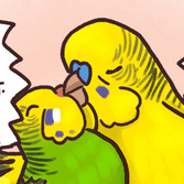 Комикс "Чика" о приключениях волнистого попугайчика