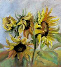 Подсолнухи