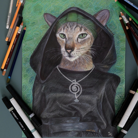 Кошка Бразилия