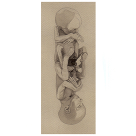 Серия "Экспонаты Кунсткамеры" 