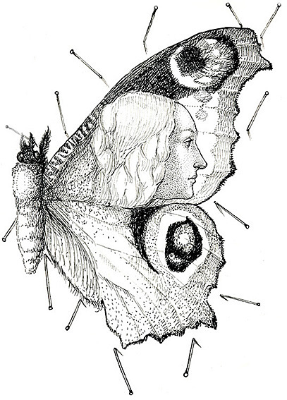 Иллюстрация к  книге Д. Фаулза "Коллекционер"