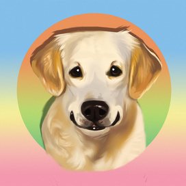 Голден ретривер