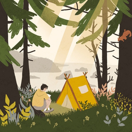 Лесной лагерь
