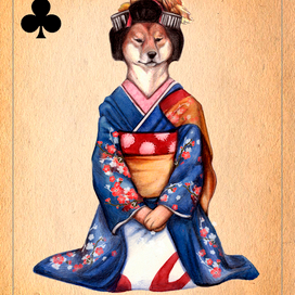 Сиба-гейша рисунок