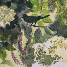 "В бузине, сырой и круглой, Соловей ударил дудкой..."