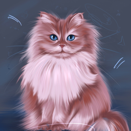 Пушистый кот