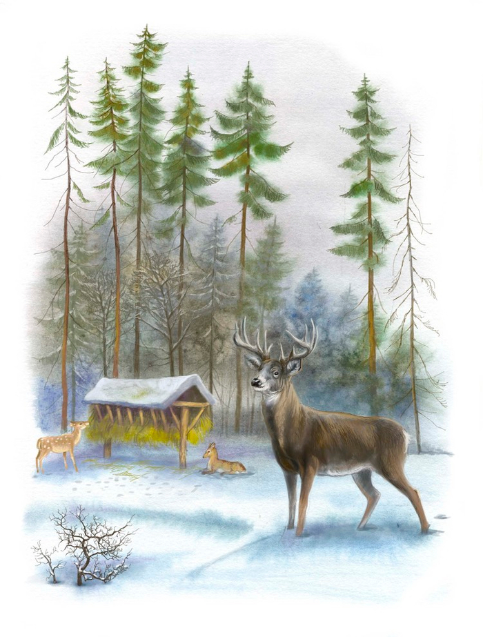 Третья зима