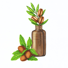 Аргановое масло