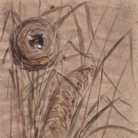  "Мышонок Пик" 