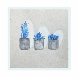 Суккуленты