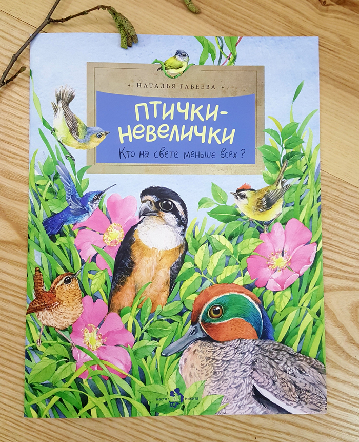 Книга мини серии "Кто на свете меньше всех? Птички-невелички" изд. Настя и Никита 