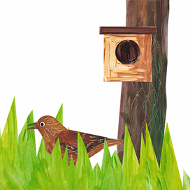 Птица и насекомые в траве