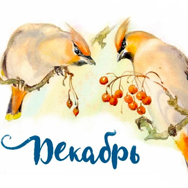 Декабрь, свиристели. В. Бианки «Синичкин календарь»