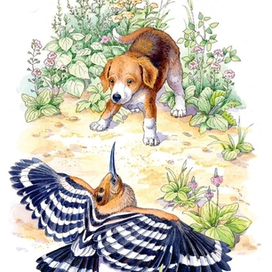 "Первая охота"