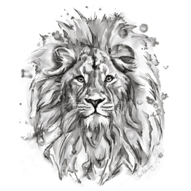 panel lion