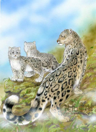 Семейка барсов