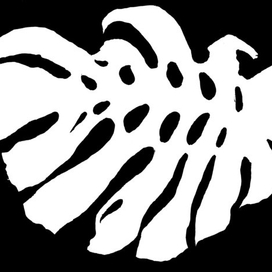 Лист монстеры. Серия "Силуэты"