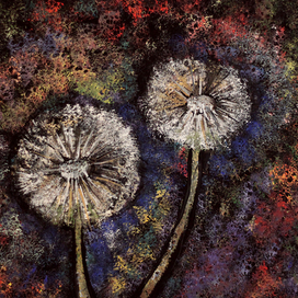 Одуванчики