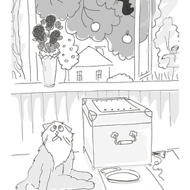 месть Боне 2