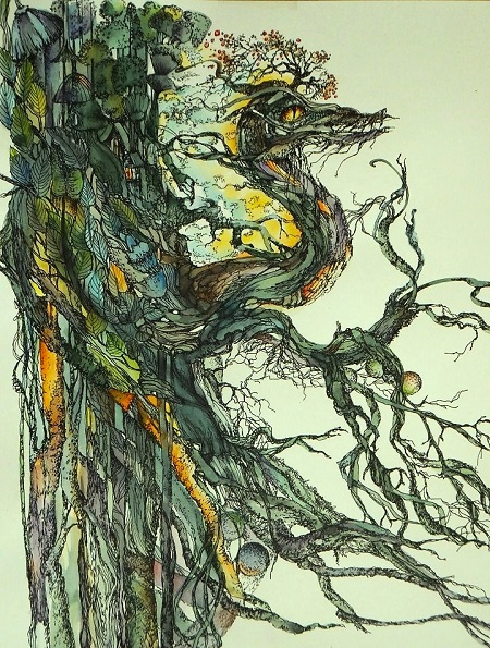 Драконово дерево.