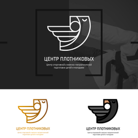 Конкурсная работа "Центр Плотниковых"