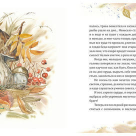 Лягушка-квакушка