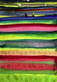 Поле тюльпанов