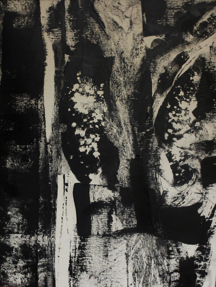 зима. цветы на окне