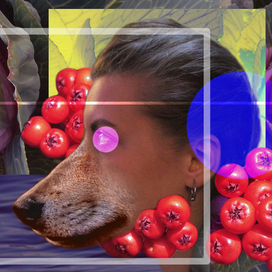 красная шапочка.