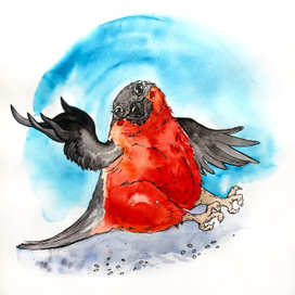 Толстый снегирь