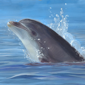 "Выдох - вдох"