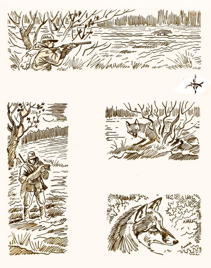 На лисицу...