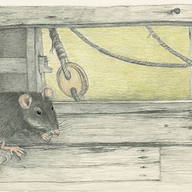 Перед побегом