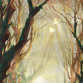 лесная тропа