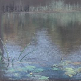 Пруд с кувшинками