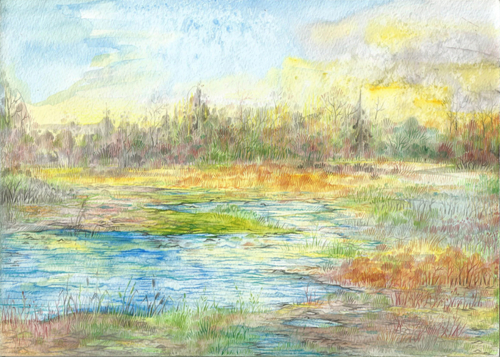 Затопленное поле