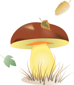 Вектор к приложению Азбука