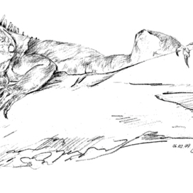 Год дракона. Игуана