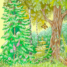 Иллюстрация для книги "Сказки лесных зверей"