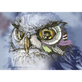 Сова-домик. Цветной.